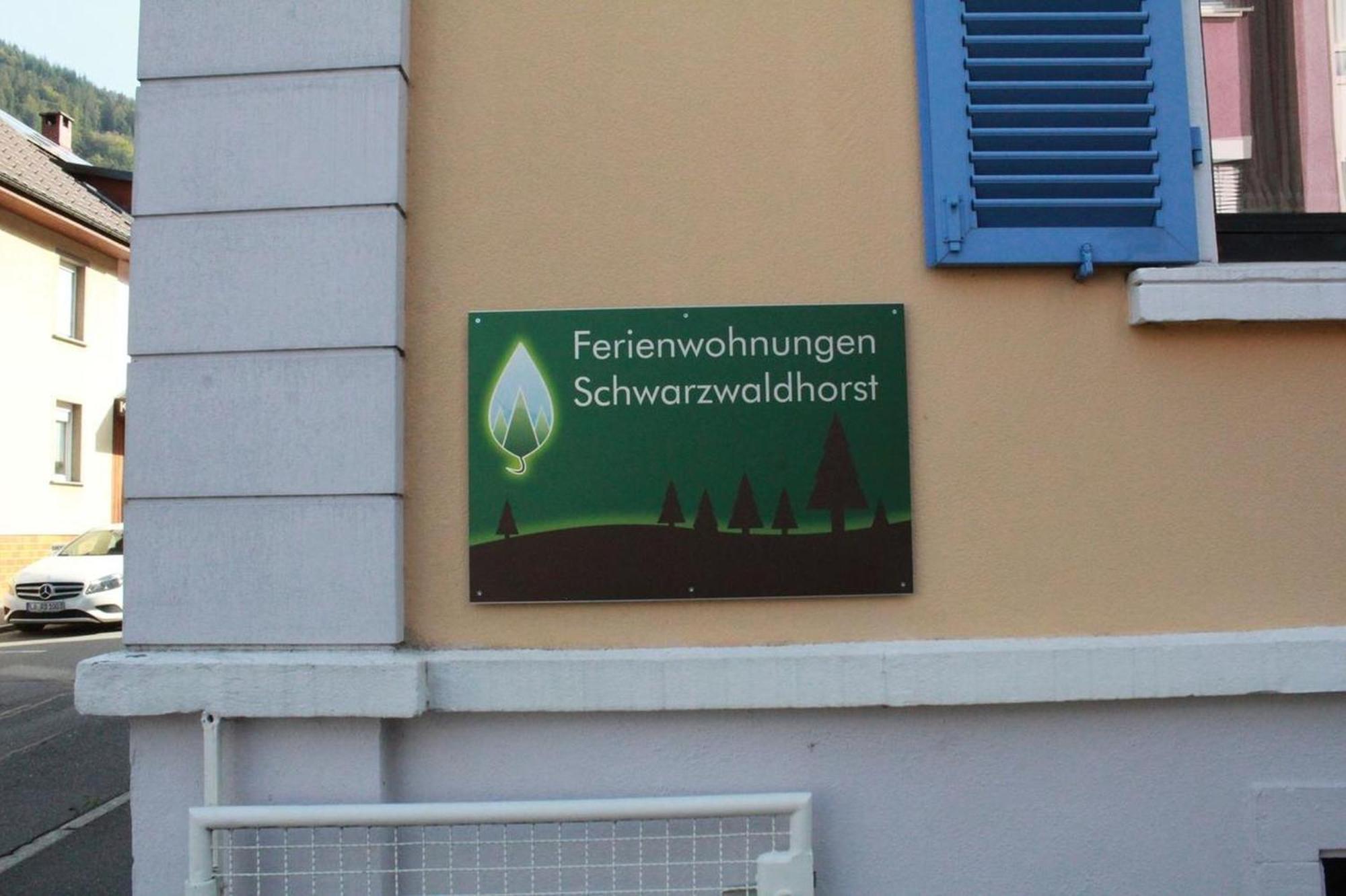 Schwarzwaldhorst Fewo 2 - Mit 4 Schlafzimmer - Todtnau, Liftverbund Feldberg ภายนอก รูปภาพ