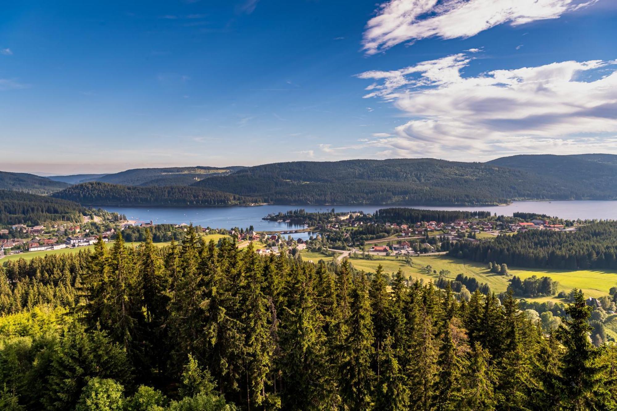 Schwarzwaldhorst Fewo 2 - Mit 4 Schlafzimmer - Todtnau, Liftverbund Feldberg ภายนอก รูปภาพ