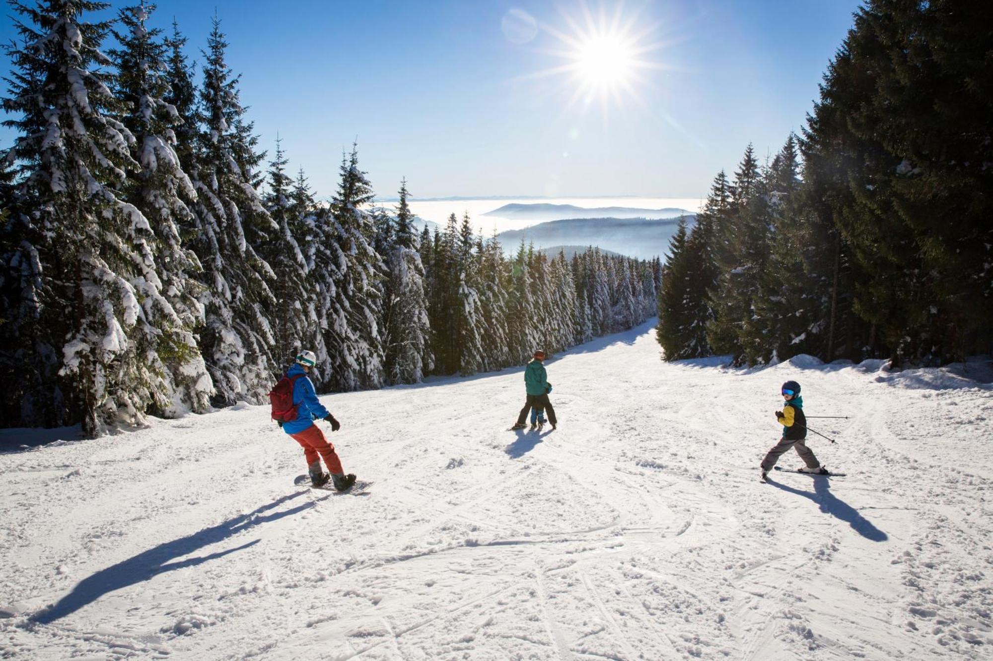 Schwarzwaldhorst Fewo 2 - Mit 4 Schlafzimmer - Todtnau, Liftverbund Feldberg ภายนอก รูปภาพ