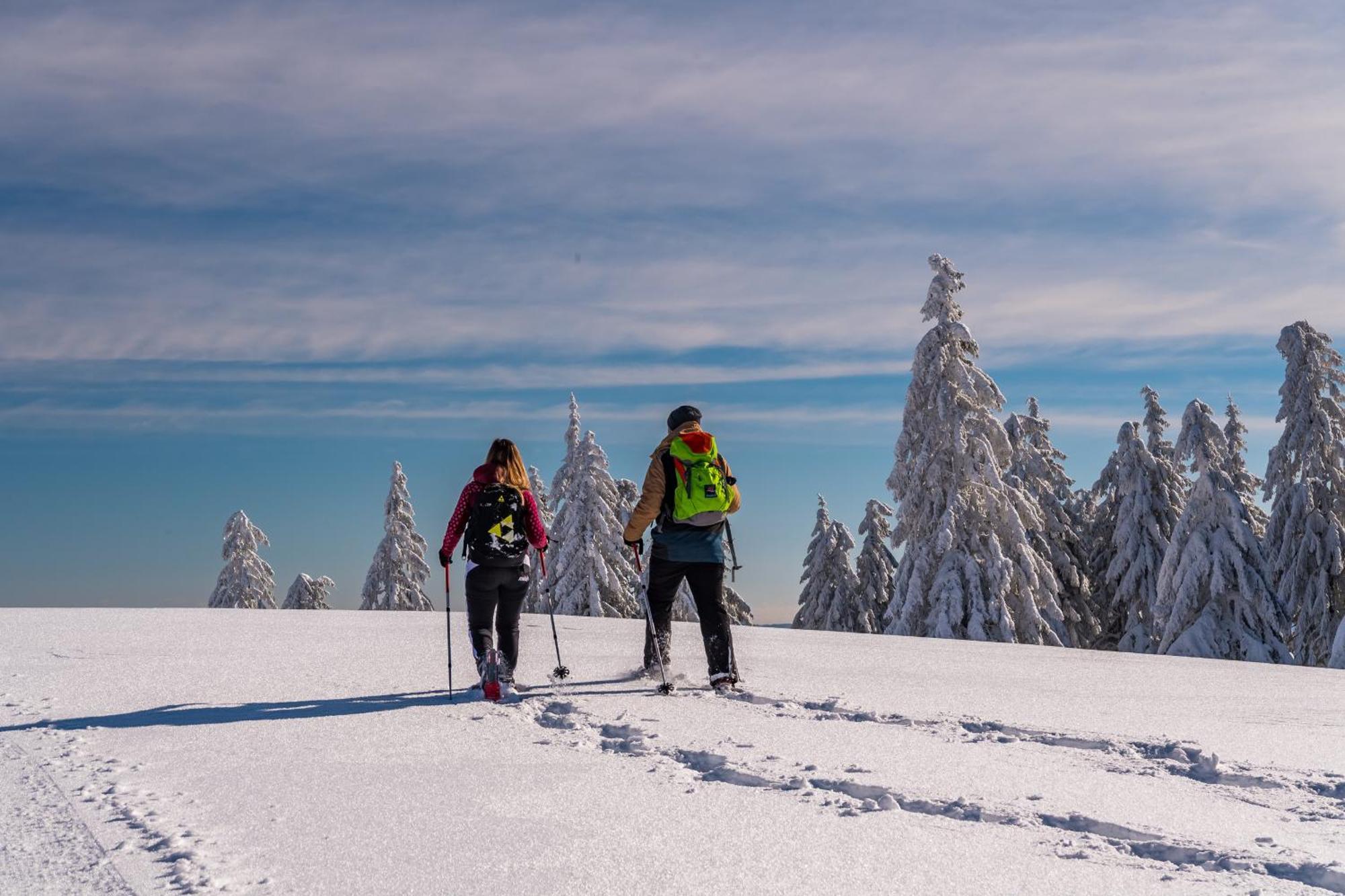 Schwarzwaldhorst Fewo 2 - Mit 4 Schlafzimmer - Todtnau, Liftverbund Feldberg ภายนอก รูปภาพ