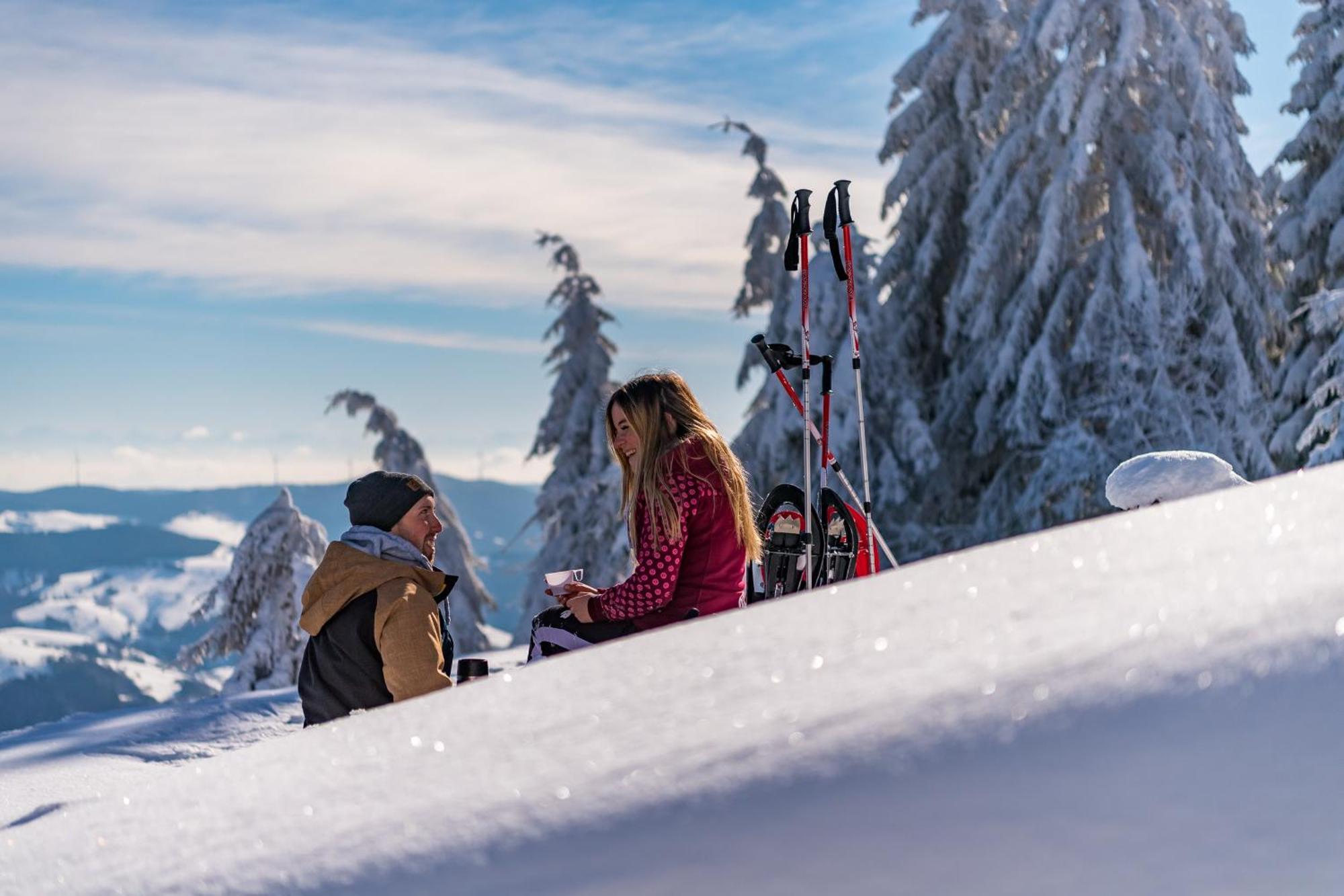 Schwarzwaldhorst Fewo 2 - Mit 4 Schlafzimmer - Todtnau, Liftverbund Feldberg ภายนอก รูปภาพ